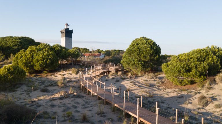 Phare de l&rsquo;Espiguette, événement d'entreprise 
