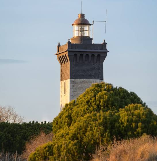 Phare de l'Espiguette, événement d'entreprise