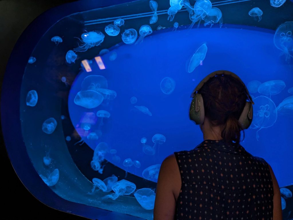 Planet Ocean Montpellier, espace pour événement d'entreprise, Hérault