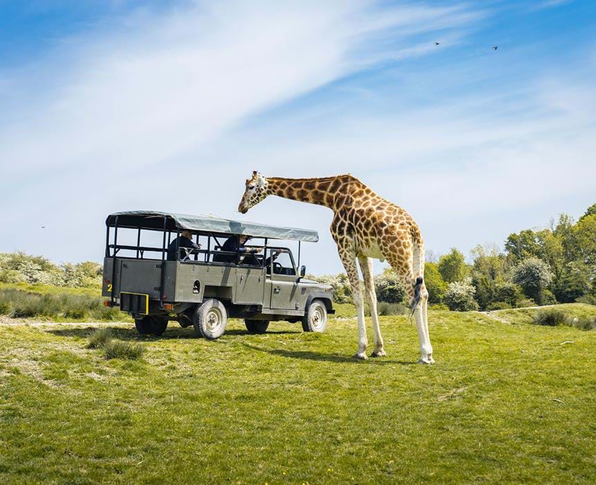 Port Lympne Hotel & Reserve, séminaire & réception corporate