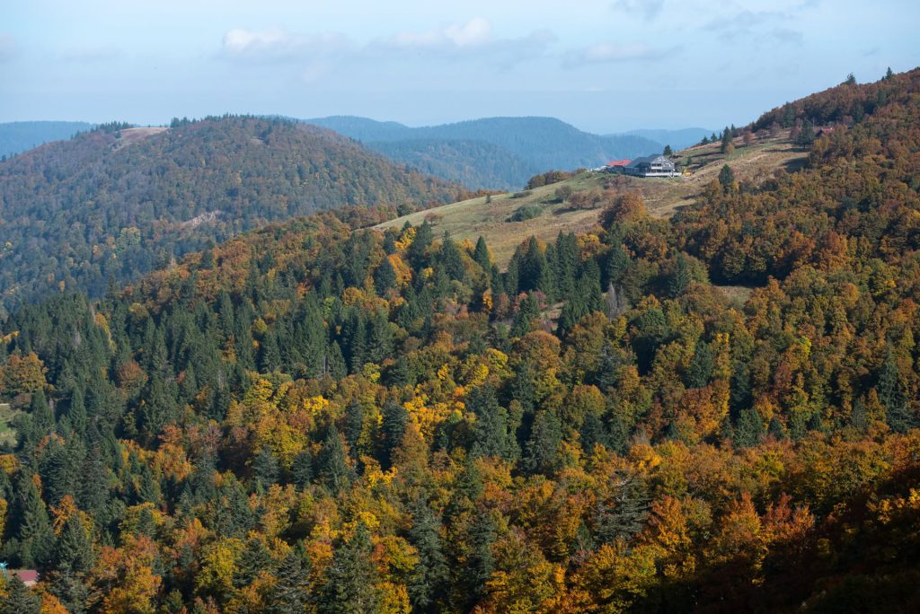 Refuge du Sotré, séminaire d'entreprise, Vosges