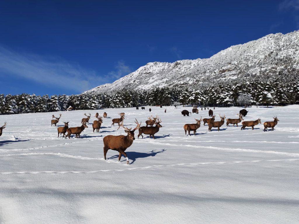 Réserve Biologique des Monts d’Azur, séminaire d'entreprise, Alpes-Maritimes