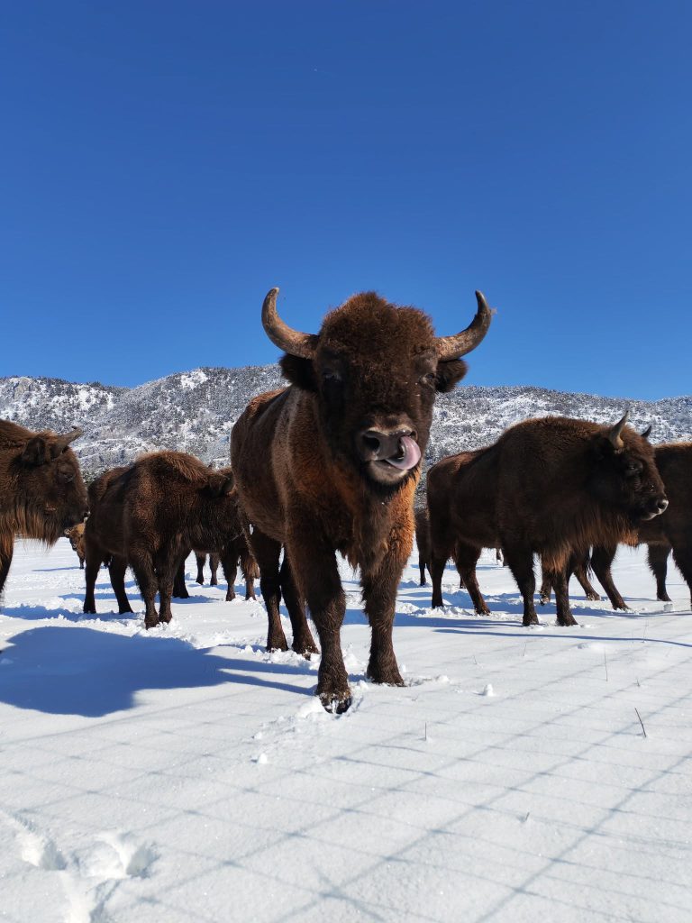 Réserve Biologique des Monts d’Azur, espace pour événement d'entreprise, Alpes-Maritimes