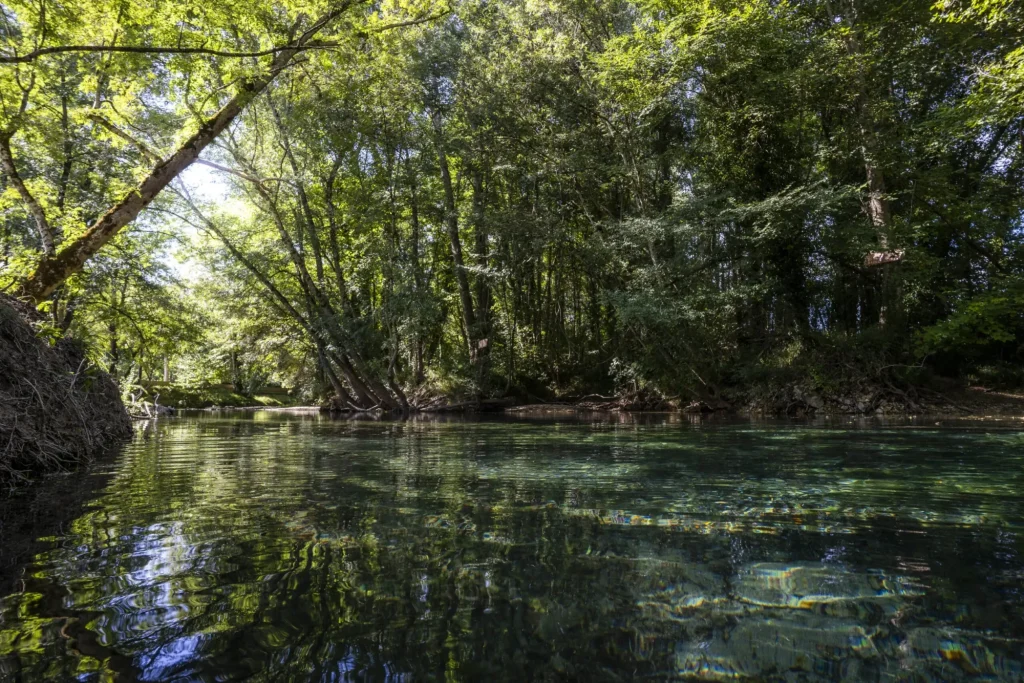 Réserve Zoologique de Calviac, événement d'entreprise en Dordogne