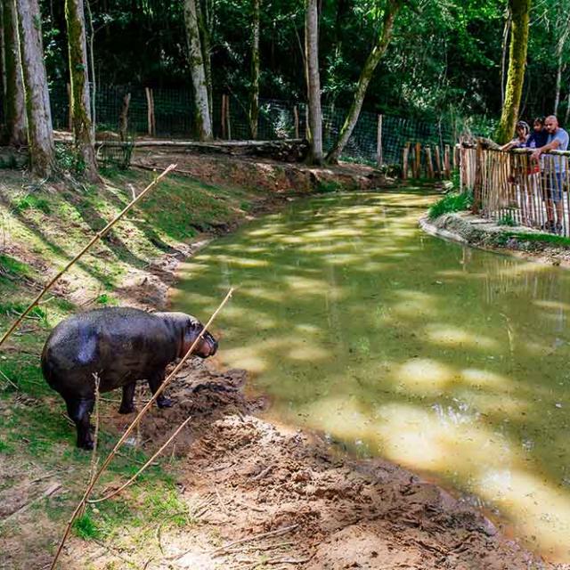 Réserve Zoologique de Calviac, lieu d'événement d'entreprise en Dordogne