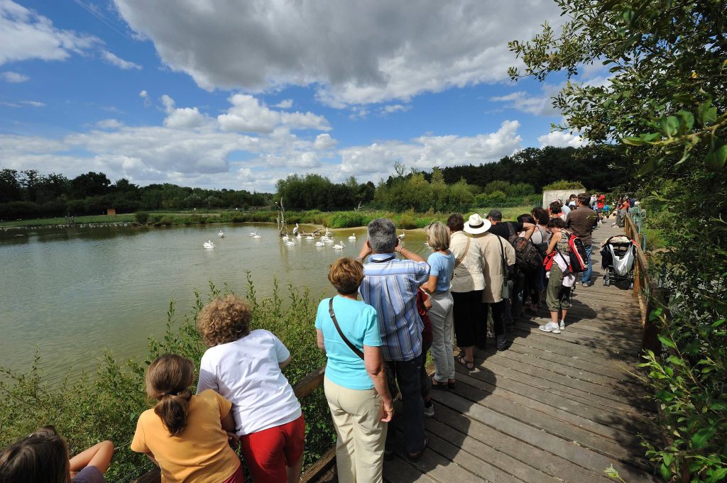 Réserve Zoologique de la Haute-Touche, lieu d'événement d'entreprise en Indre