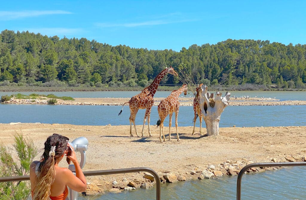 Safari de Peaugres, lieu d'événement d'entreprise en Ardèche