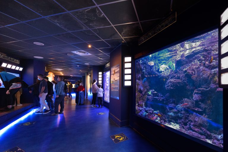 Seaquarium, événement d'entreprise Gard