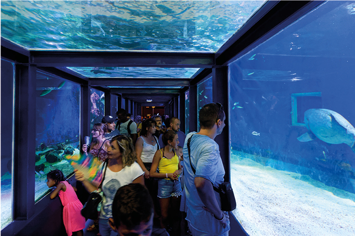 Seaquarium, lieu d'événement d'entreprise en Gard