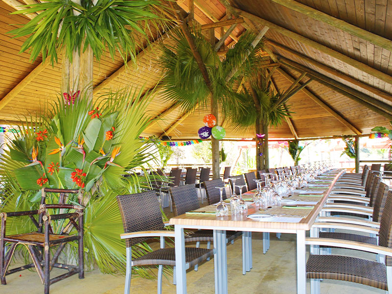 Selwo Aventura, séminaire d'entreprise, Corse