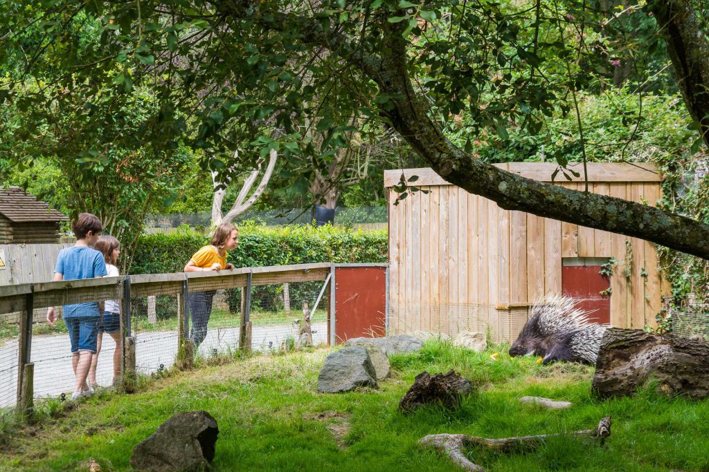 Spaycific’Zoo, séminaire d'entreprise, Sarthe