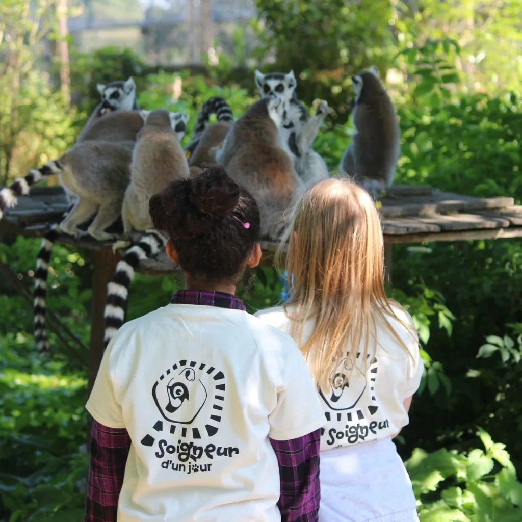 Spaycific'Zoo, lieu d'événement d'entreprise en Sarthe