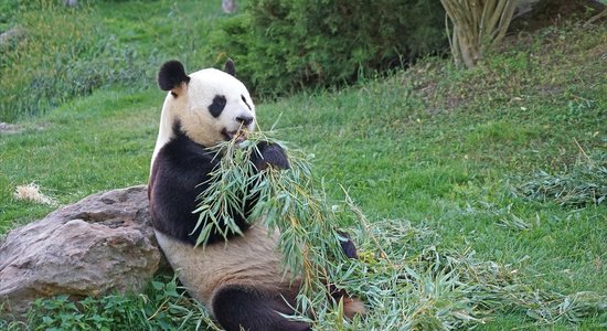 Spaycific'Zoo, espace séminaire pour entreprise en Sarthe
