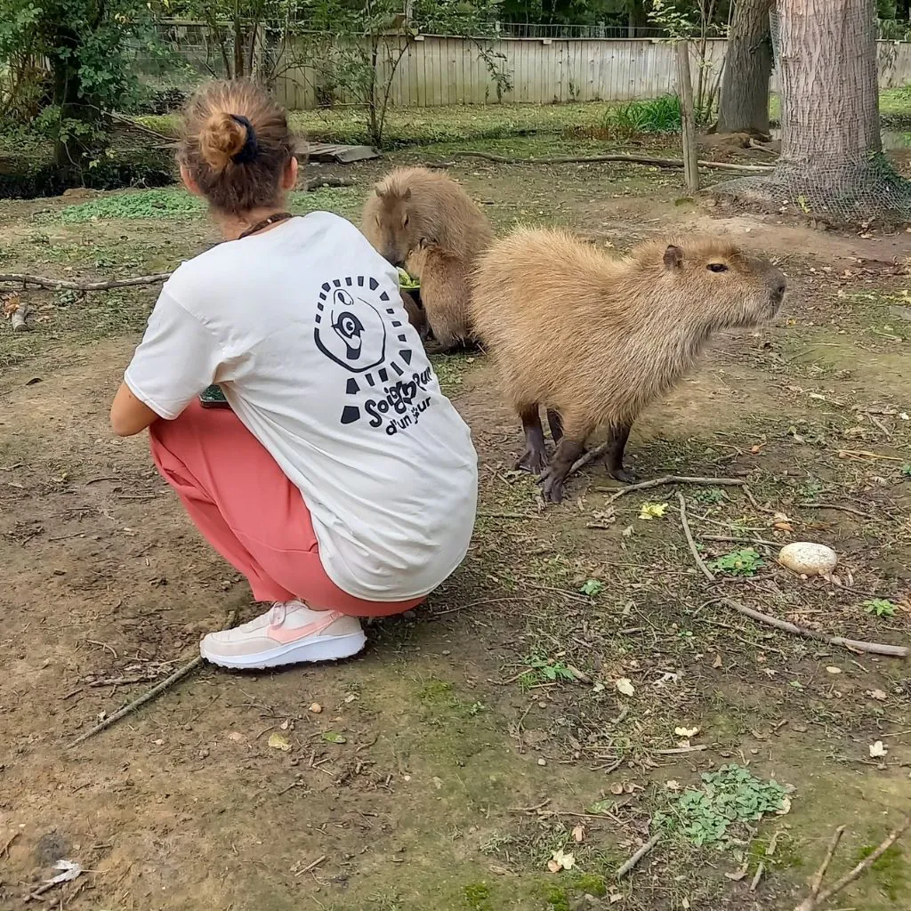 Spaycific'Zoo, espace séminaire pour entreprise en Sarthe