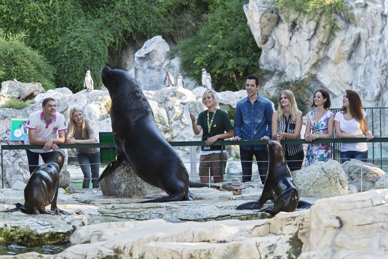 Tiergarten Schönbrunn (zoo de Schönbrunn), espace séminaire pour entreprise