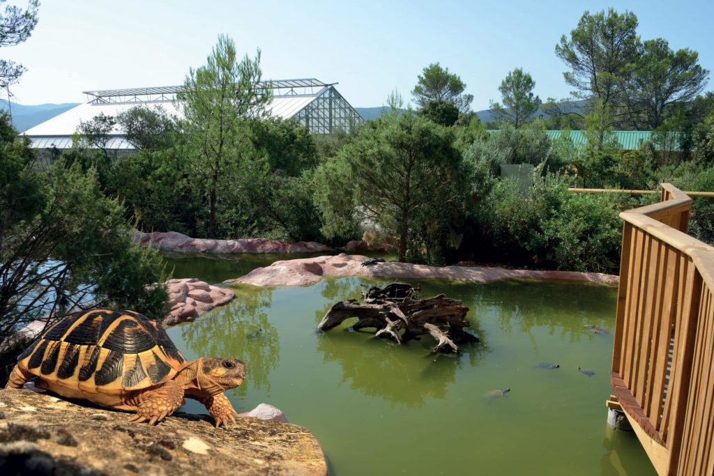 Village des Tortues / Tortupôle France, événement d'entreprise en Var