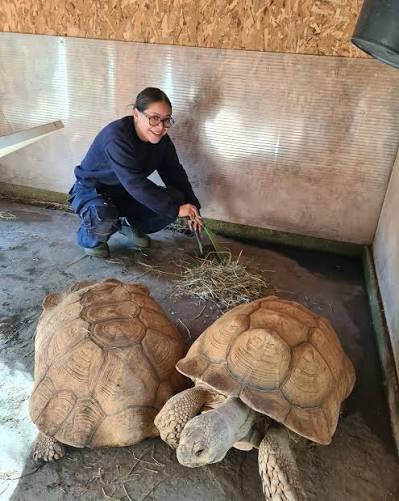 Village des Tortues / Tortupôle France, espace séminaire pour entreprise en Var