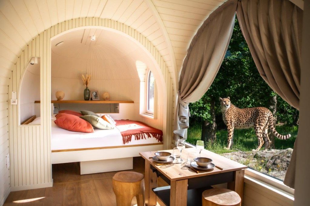 Wow Safari Peaugres, événement d'entreprise en Ardèche