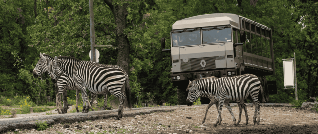Wow Safari Peaugres, espace pour événement d'entreprise, Ardèche