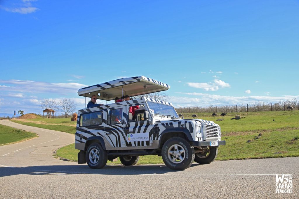 Wow Safari Peaugres, lieu d'événement d'entreprise en Ardèche