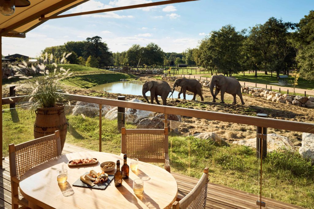 Wow Safari Thoiry (zoosafari de Thoiry), séminaire d'entreprise, Yvelines