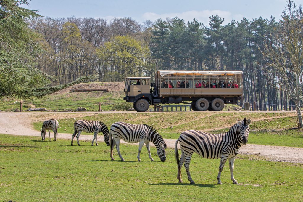 Wow Safari Thoiry (zoosafari de Thoiry), lieu d'événement d'entreprise en Yvelines