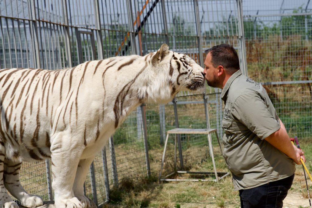 Z&rsquo;Animoland, séminaire d'entreprise, Lot-et-Garonne