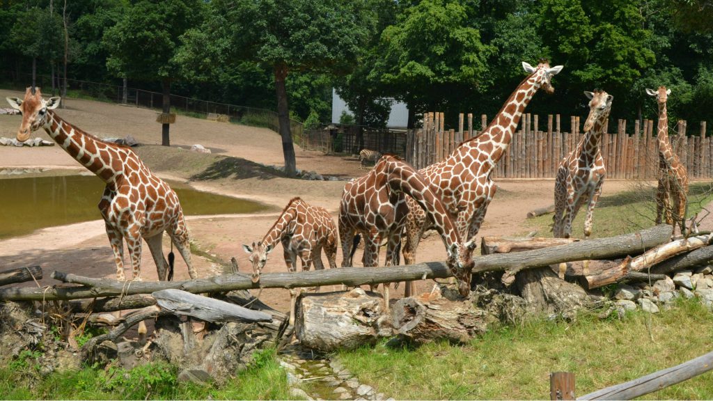Zoo Brno, espace pour événement d'entreprise