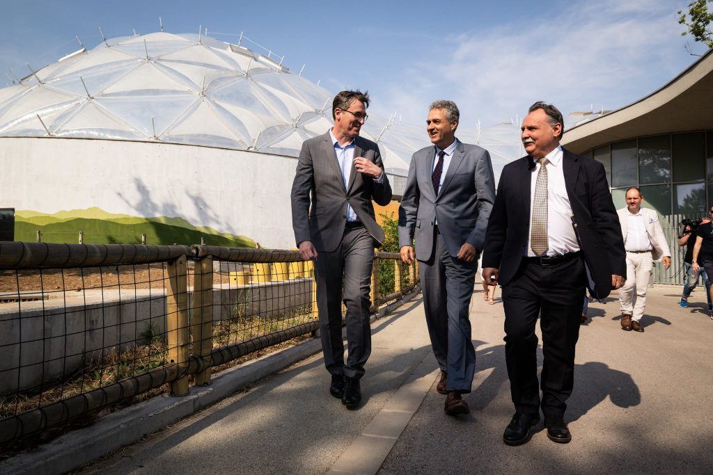 Zoo Budapest (fővárosi Állat- És Növénykert), événement d'entreprise