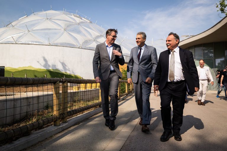 Zoo Budapest (fővárosi Állat- És Növénykert), événement d'entreprise 