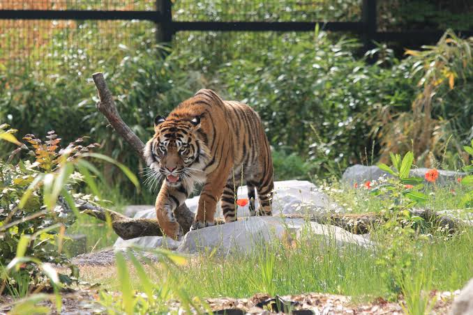Zoo d'Amiens Métropole, événement d'entreprise en Somme