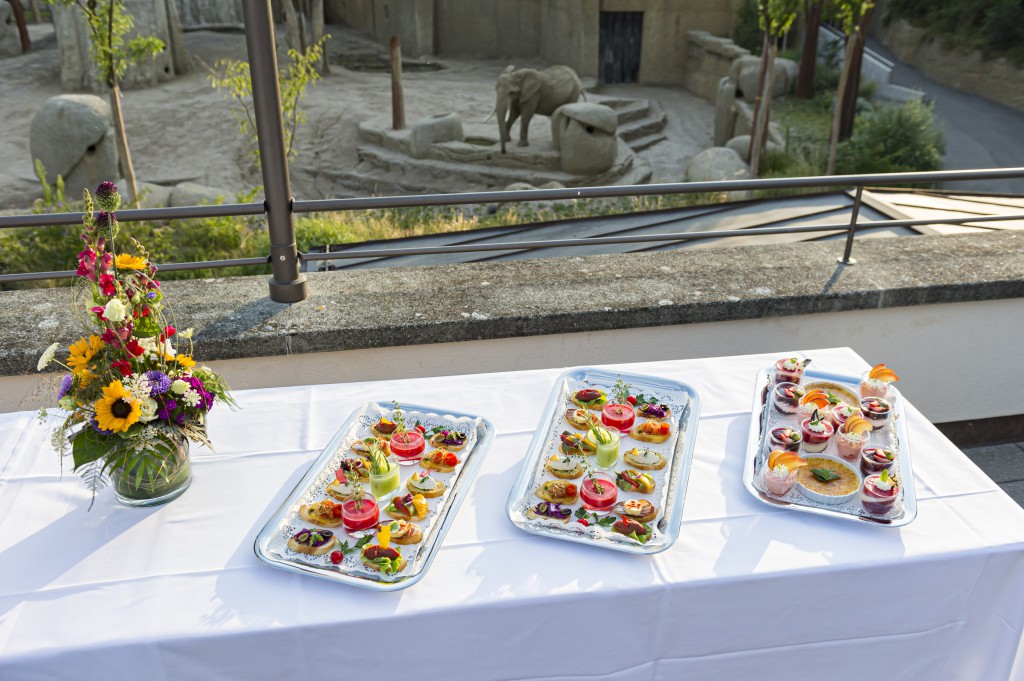 Zoo de Bâle (zoologischer Garten Basel), espace pour événement d'entreprise