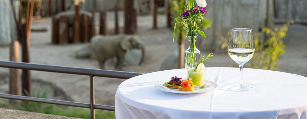 Zoo de Bâle (zoologischer Garten Basel), lieu d'événement d'entreprise