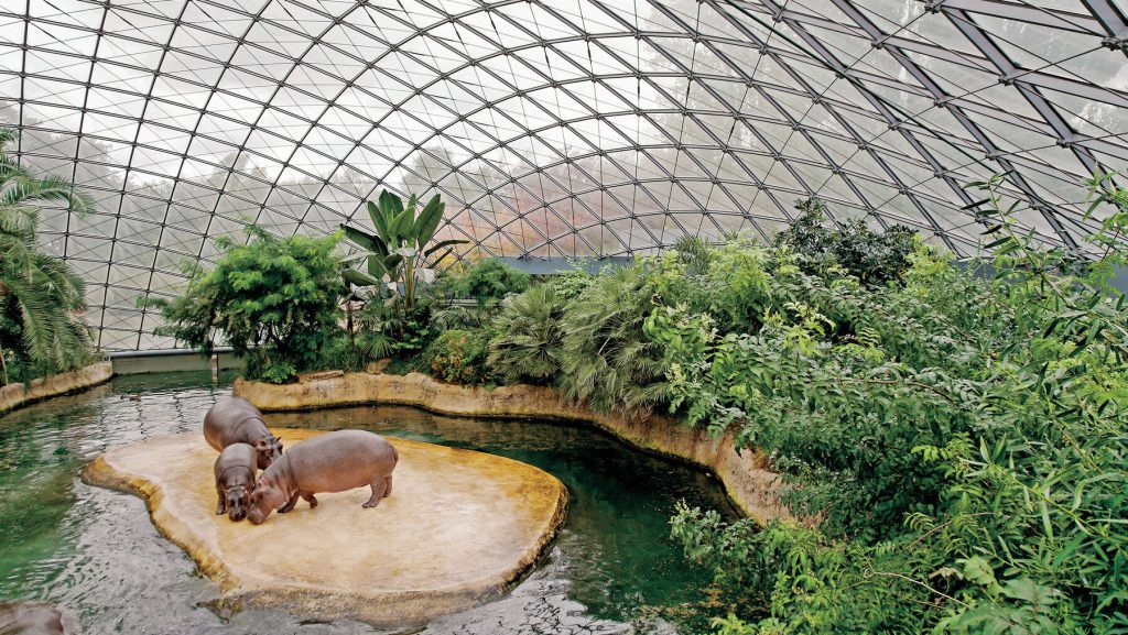 Zoo de Berlin (zoologischer Garten Berlin), événement d'entreprise