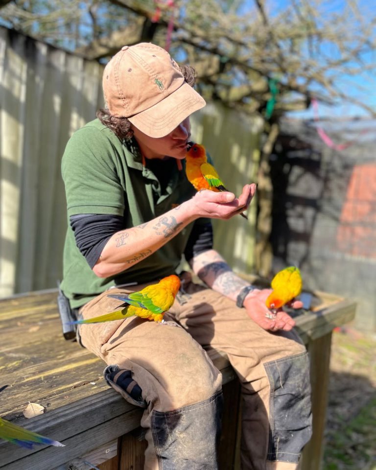 Zoo de Bordeaux-Pessac, événement d'entreprise Gironde