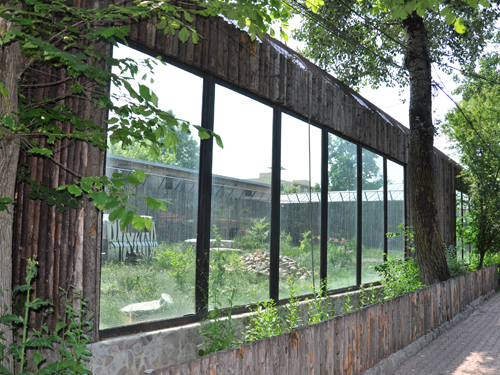 Zoo de Bucarest (grădina Zoologică), événement d'entreprise 