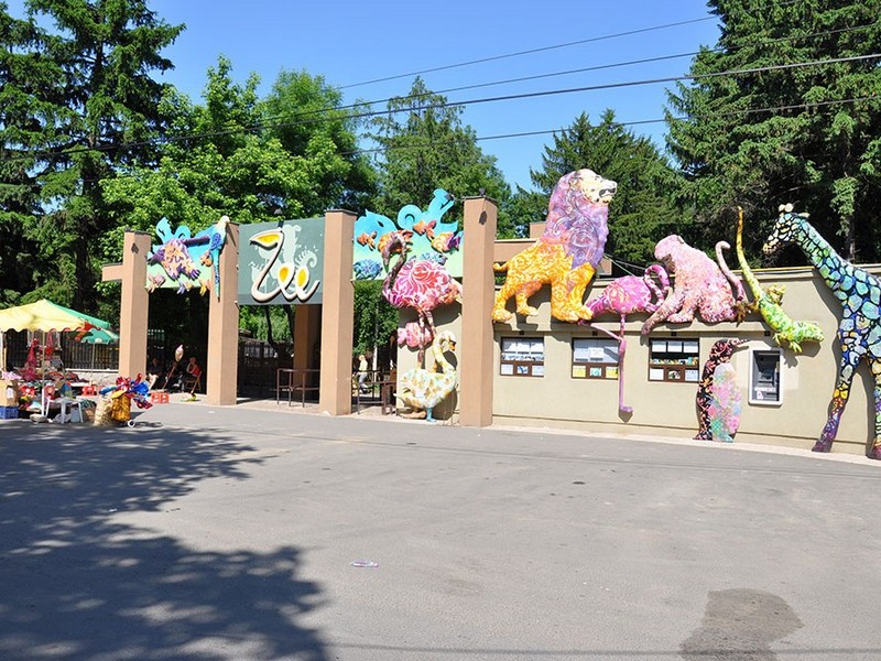 Zoo de Bucarest (grădina Zoologică), séminaire d'entreprise