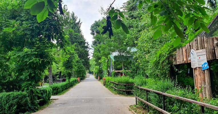Zoo de Bucarest (grădina Zoologică), lieu d'événement d'entreprise