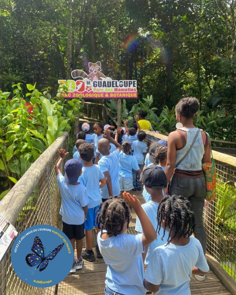 Zoo de Guadeloupe, événement d'entreprise Guadeloupe