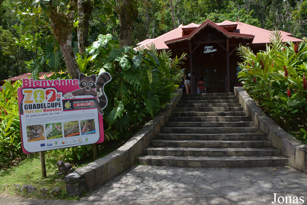 Zoo de Guadeloupe, séminaire d'entreprise, Guadeloupe
