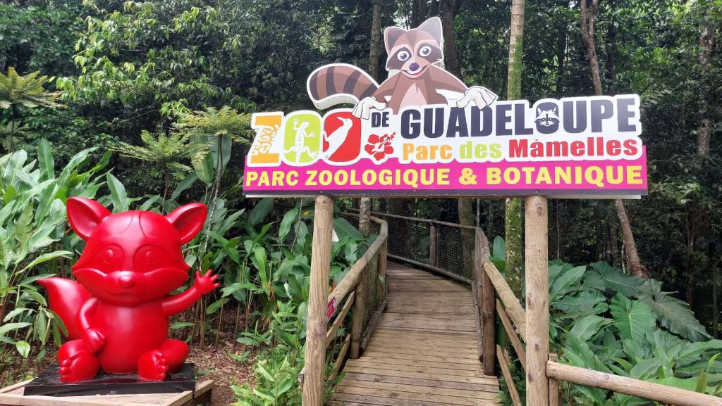 Zoo de Guadeloupe, séminaire d'entreprise, Guadeloupe