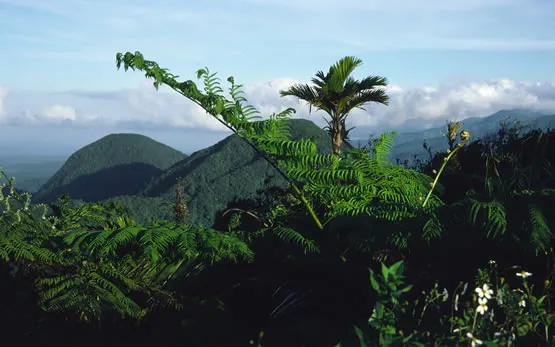 Zoo de Guadeloupe, espace pour événement d'entreprise, Guadeloupe