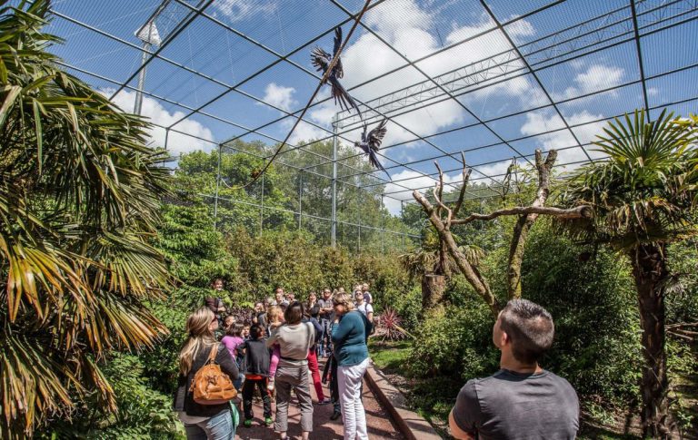 Zoo de Jurques, événement d'entreprise Calvados