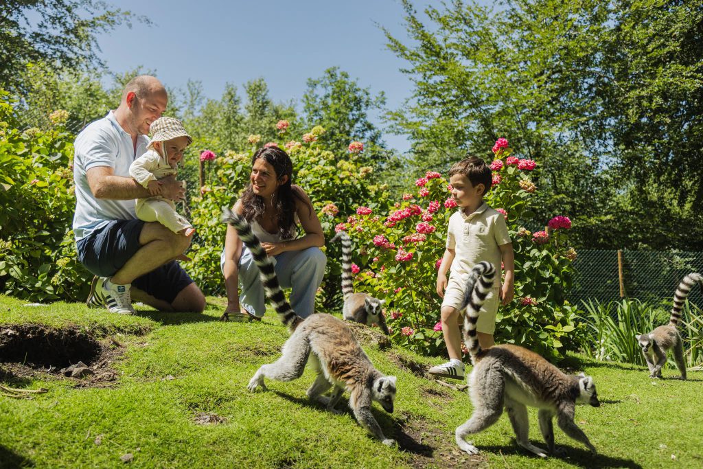 Zoo de Jurques, séminaire d'entreprise, Calvados