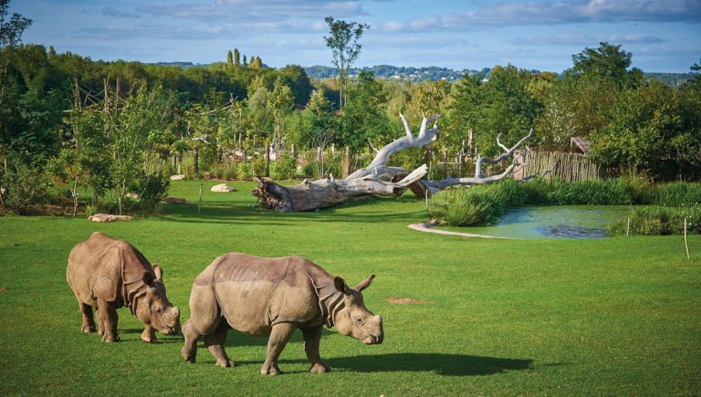 Zoo de la Flèche Sarthe
