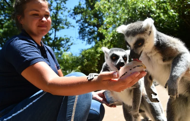 Zoo de la Flèche Sarthe