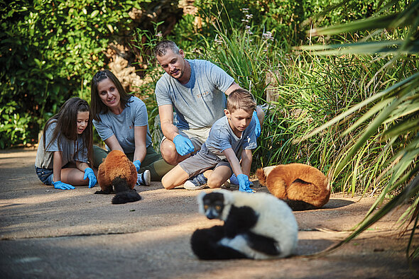 Zoo de la Flèche, espace pour événement d'entreprise, Sarthe