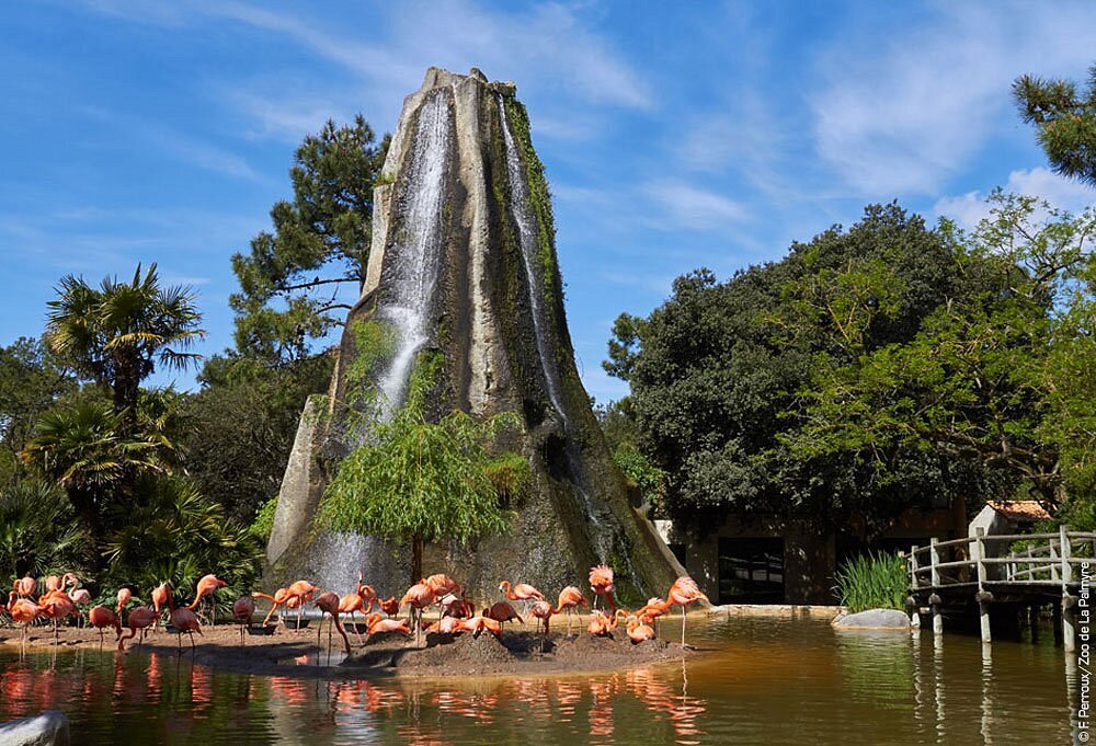 Zoo de la Palmyre, séminaire d'entreprise, Charente-Maritime