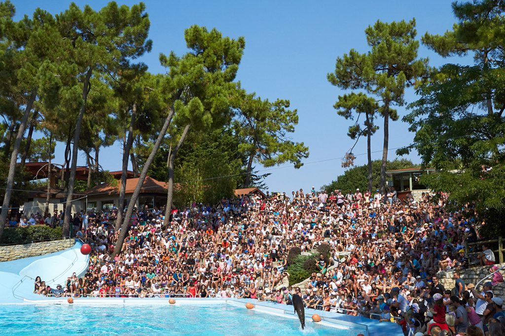 Zoo de la Palmyre, espace pour événement d'entreprise, Charente-Maritime