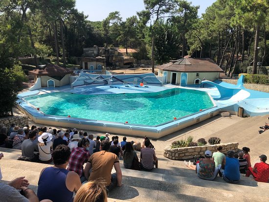 Zoo de la Palmyre, espace séminaire pour entreprise en Charente-Maritime